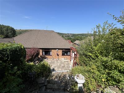 Picture 16
